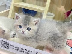 -上海尚嘉中心
