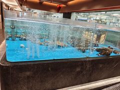 -艳阳天·非遗楚菜(武汉客厅店)