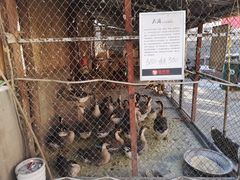 -鱼窝棚柴火铁锅炖(富山屯店)