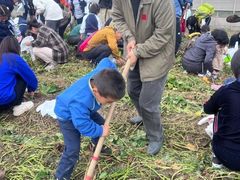 -华杉幼儿园(青塔校区)