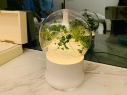 -厦门安达仕酒店·衡境SPA