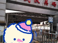 -武汉关码头(轮渡站)