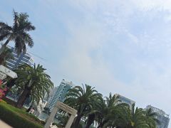 -白鹭洲公园