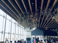 -Seesaw Coffee(朝阳大悦城店)