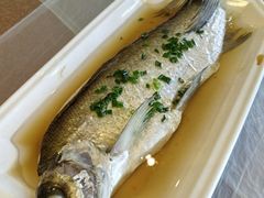 -明珠湖天鹅苑·农家菜馆