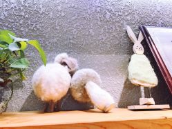 -大宇叔叔儿童摄影