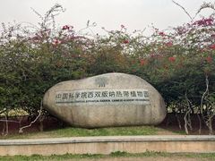 -中国科学院西双版纳热带植物园