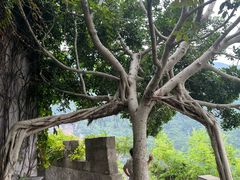 -白帝城·瞿塘峡景区