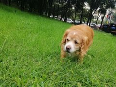 -国御温泉度假小镇