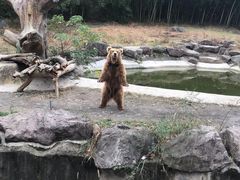 -宁波野生动物园