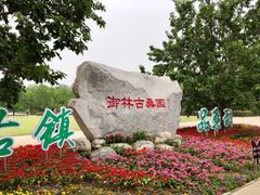-御林古桑园