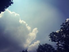 -四妹餐厅(玫瑰街店)