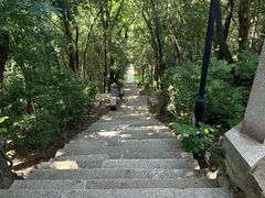 -亭林公园
