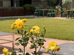 -济南喜来登酒店