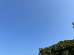 -东莞富力万达文华酒店·美食汇·海鲜自助餐厅