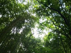 -穹窿山景区
