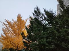 -辽宁大学(崇山校区)