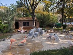 -昆明动物园