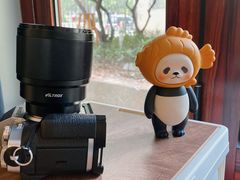 -SAFARI COFFEE
