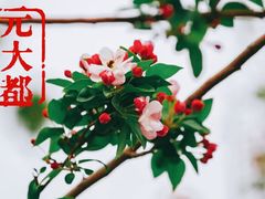 -元大都城垣遗址公园