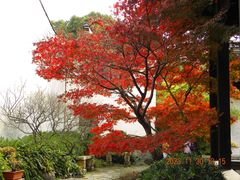 -惠山古镇·寄畅园