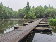 -柯岩风景区