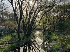 -上海共青森林公园