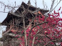 -西安青龙寺遗址景区