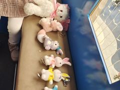 -PAWTOY爪e玩偶店(天兴罗斯福店)