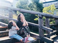 -陶祖圣境风景区