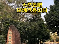 -麗枫酒店(深圳机场福永地铁站店)