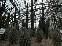 -南山植物园
