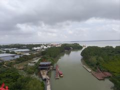 -东寨港红树林旅游区