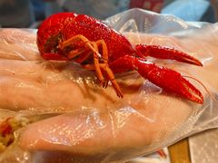 -龙巢盱眙龙虾·牛蛙·烧烤宵夜(八卦岭店)