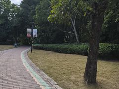 -金山公园