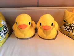 -上海崇明金茂凯悦酒店