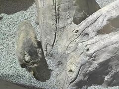 -青藏高原野生动物园