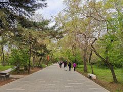 -北陵公园