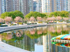 -新江湾城公园