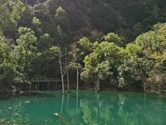 -叠溪松坪沟景区
