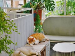 -小时光咖啡馆(北锣鼓巷店)