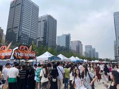 -合景·悠方(成都店)