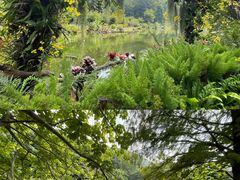 -深圳仙湖植物园