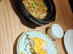-永記粤菜·五指毛桃花雕鸡煲(九亭店)