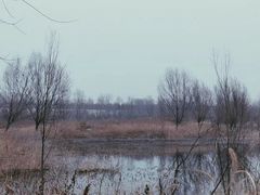 -绿堤公园
