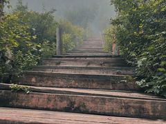 -白草畔自然风景区