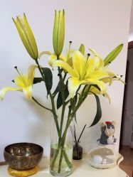 -美肤盾祛痘·问题肌头疗管理中心