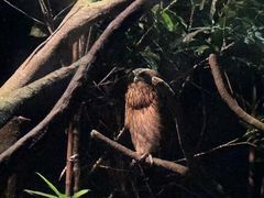 -龙海鲜螃蟹王(宏茂桥店)