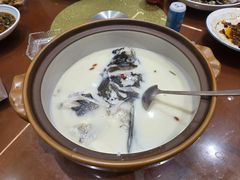 -全乐鱼馆·淳牌有机鱼直营店
