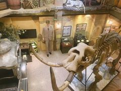 -信不信由你博物馆